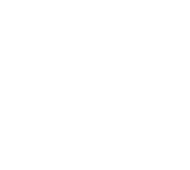 Icon depicting security, featuring a shield with a lock or checkmark symbolizing protection and safety.